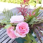 Les Capucines La Souris Des Champs 아파트 *