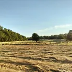 Les Capucines La Souris Des Champs Étival-Clairefontaine