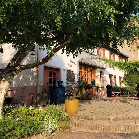 Les Capucines La Souris Des Champs