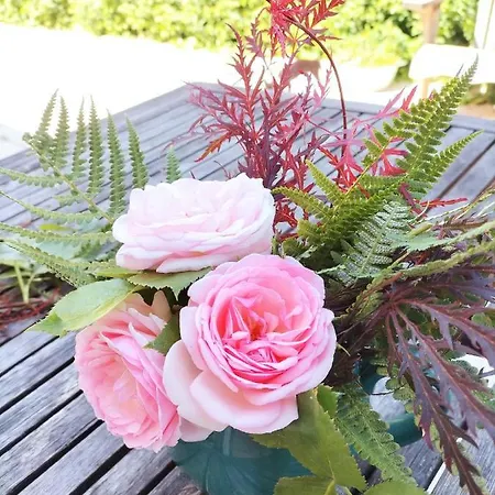 Les Capucines La Souris Des Champs Apartamento *