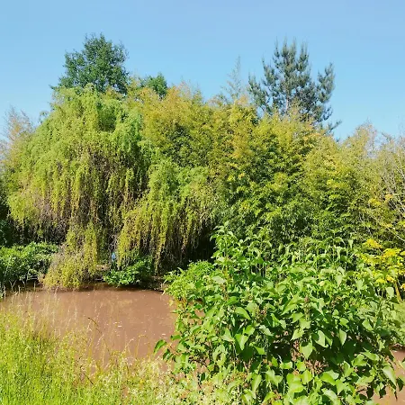 Les Capucines La Souris Des Champs Apartamento