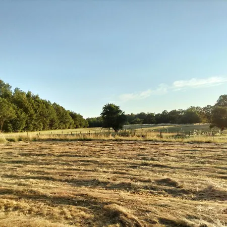 Les Capucines La Souris Des Champs Étival-Clairefontaine