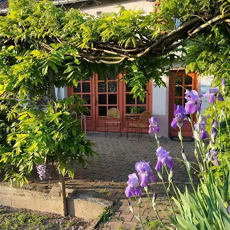 Les Capucines La Souris Des Champs * Etival-Clairefontaine